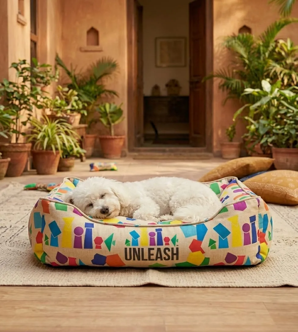 White dog asleep in a colorful bed with 'UNLEASH' on it, in a sunny patio with potted plants and open doorway behind.
