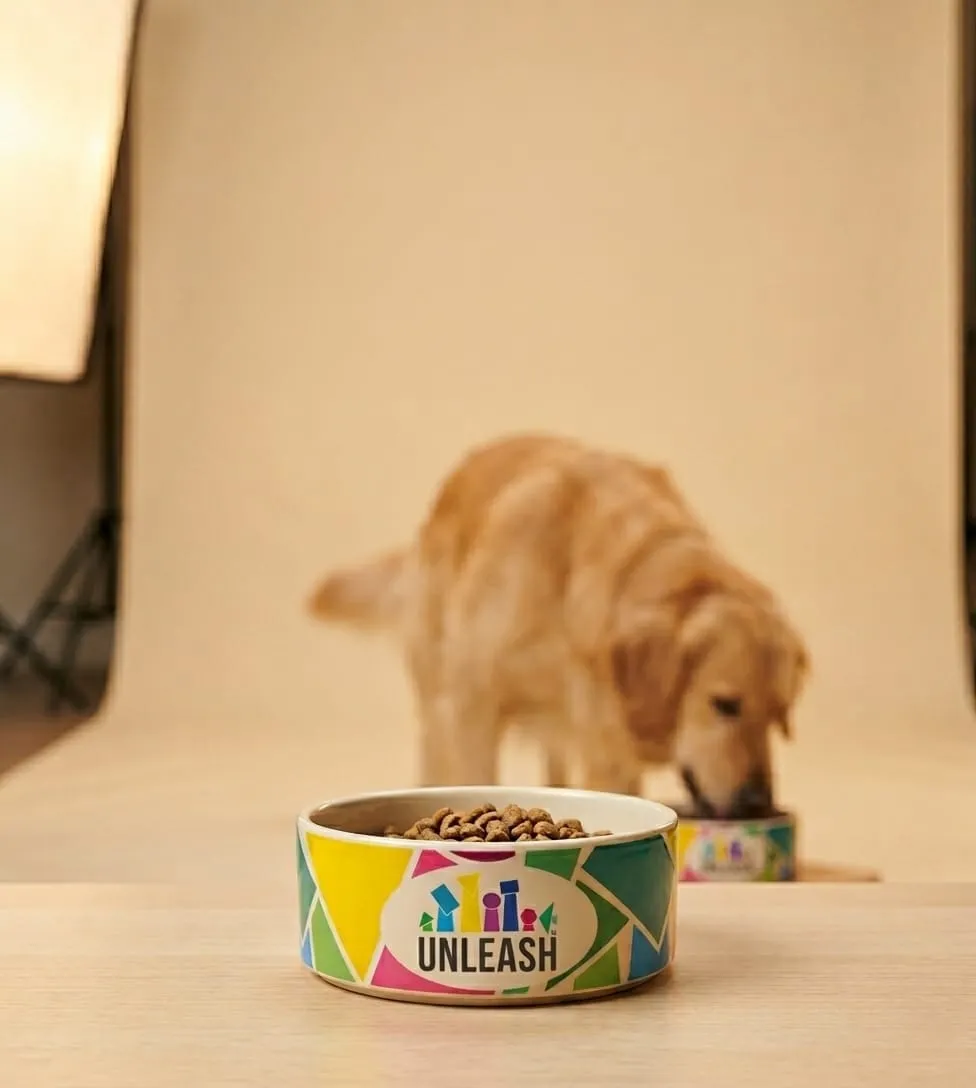 Colorful pet food bowl labeled 'UNLEASH' filled with kibble on a table, with a golden retriever eating from a second bowl in the blurred background.