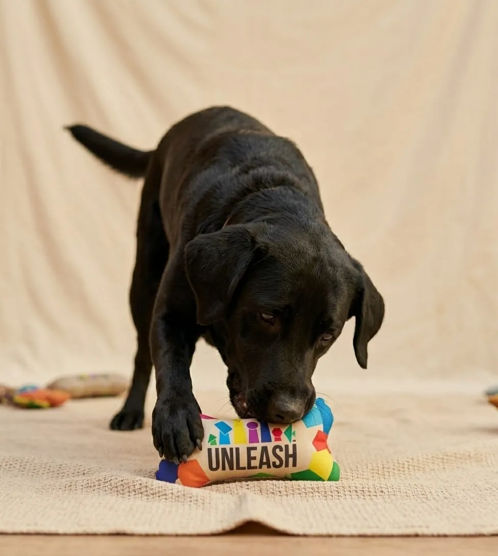 Black dog chewing a colorful bone-shaped toy that says UNLEASH on a beige rug indoors.