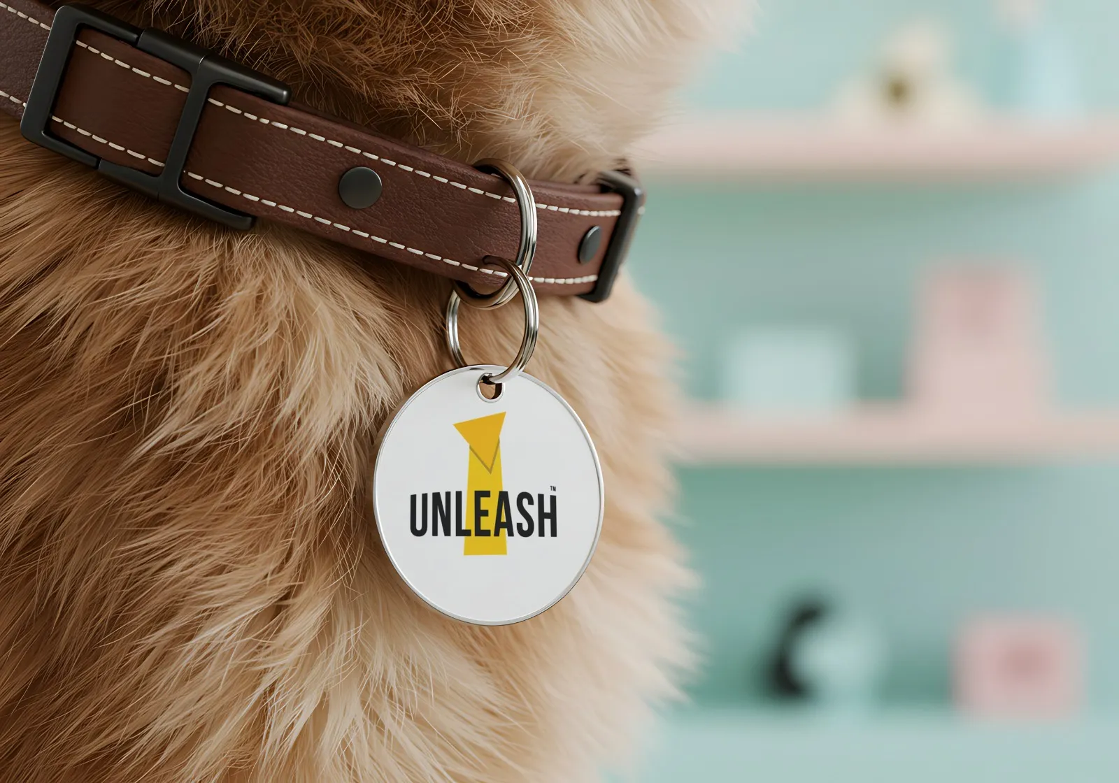 Close-up of a dog's brown leather collar with a round metal tag reading UNLEASH.